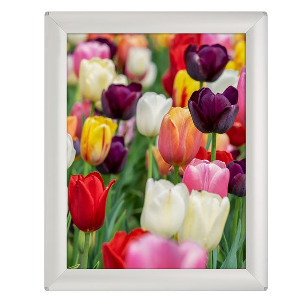 Klapprahmen Opti Frame 25mm DIN A4 Postermaß <br />mit Rückenstütze
